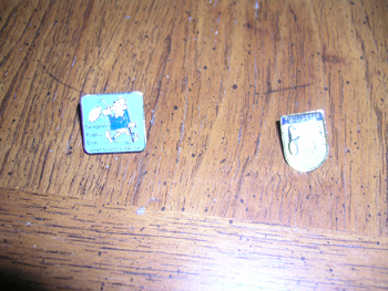 Twit Pins